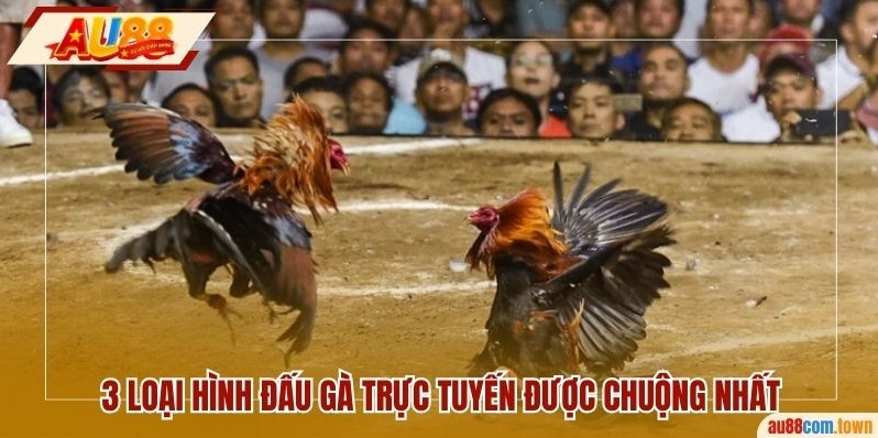 3 loại hình đấu gà trực tuyến được chuộng nhất