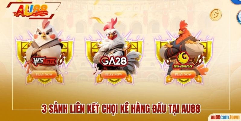3 sảnh liên kết chọi kê hàng đầu tại AU88