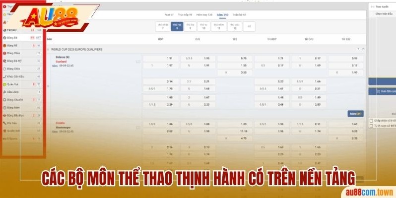 Các bộ môn thể thao thịnh hành đang có trên nền tảng