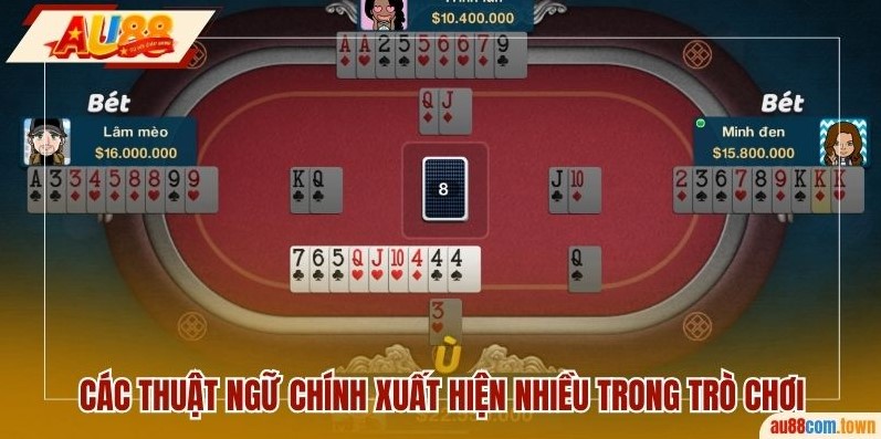 Các thuật ngữ chính xuất hiện nhiều trong trò chơi