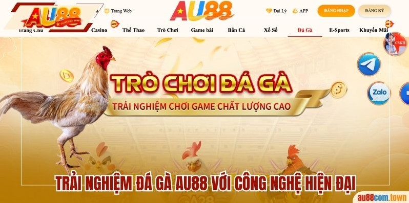 đá gà AU88